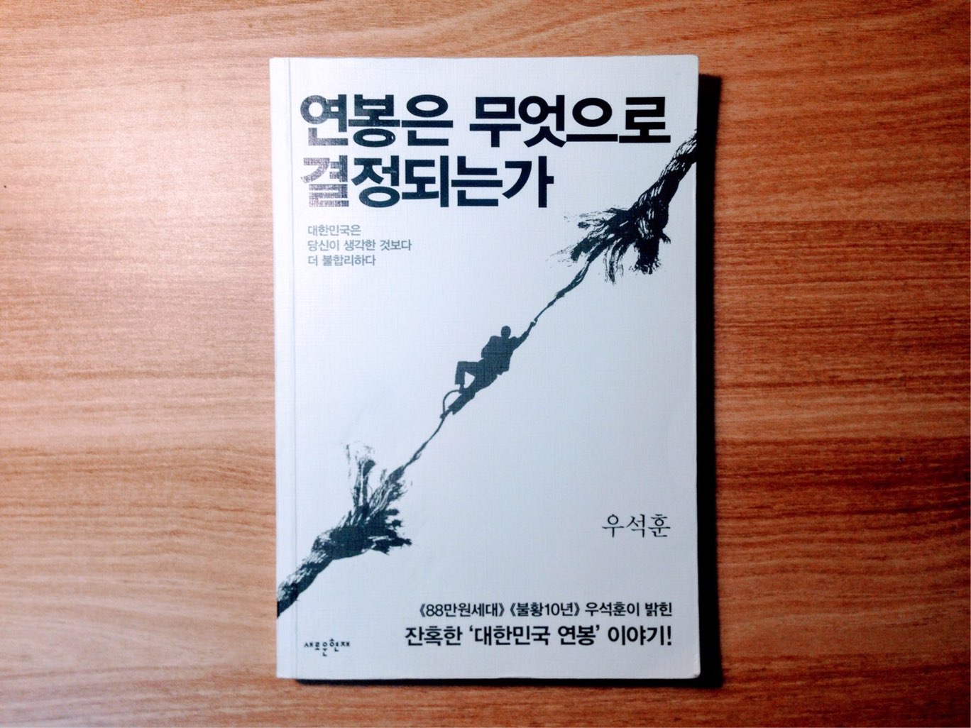 연봉은 무엇으로 결정되는가 - 우석훈